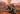 PRE-ORDER Godzilla x Kong: The New Empire Godzilla Re-Evolved PX Previews Exclusive Transwarp Toys