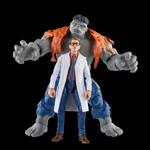Marvel Legends Gray Hulk and Dr. Bruce Banner - Transwarp Toys