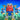 PRE-ORDER Transformers Legacy Evolution Armada Universe Optimus Prime - Transwarp Toys