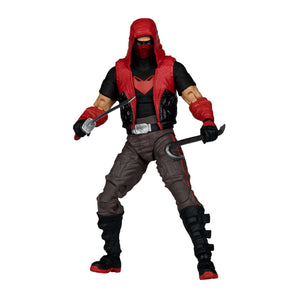 DC Multiverse Dawn of DC Red Hood